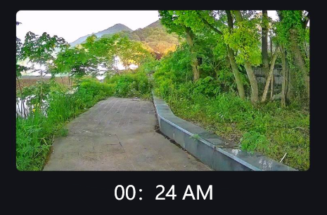 Ver en la oscuridad: una guía sencilla para cámaras de seguridad con luz negra y visión nocturna